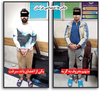 شکار «گربه لیفان سوار» با شلیک گلوله! شکار «گربه لیفان سوار» با شلیک گلوله!