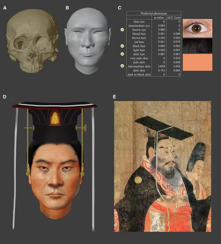 دانشمندان چهره واقعی امپراتور چین باستان را بازسازی کردند