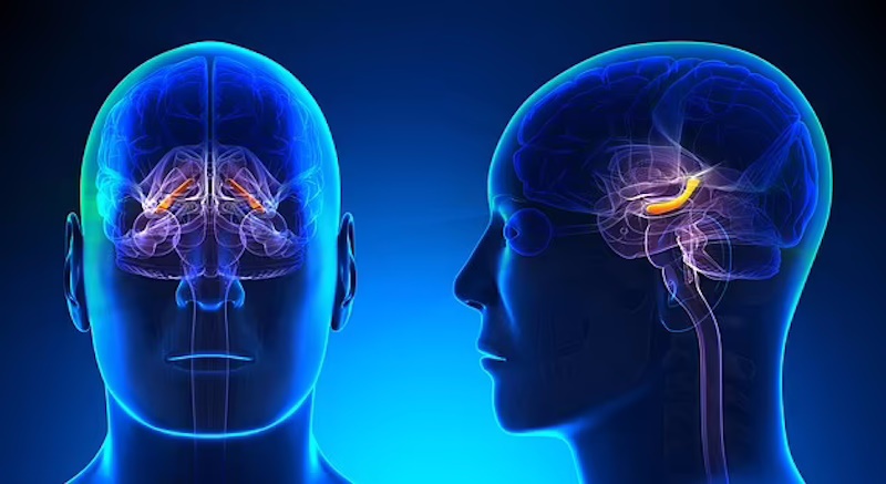 به گفته دانشمندان با انجام این کار با احتمال بیشتری یک اتفاق را به یاد می‌سپارید