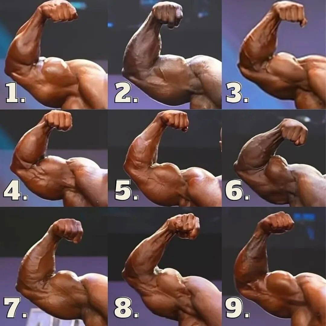 (تصویر) مقایسه ۹ بازوی برتر جهان؛ از هادی چوپان تا مارسلو دی انجلیس