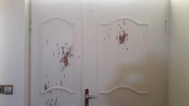 تیراندازی افراد ناشناس به منزل دو مأمور جنگلبانی آمل