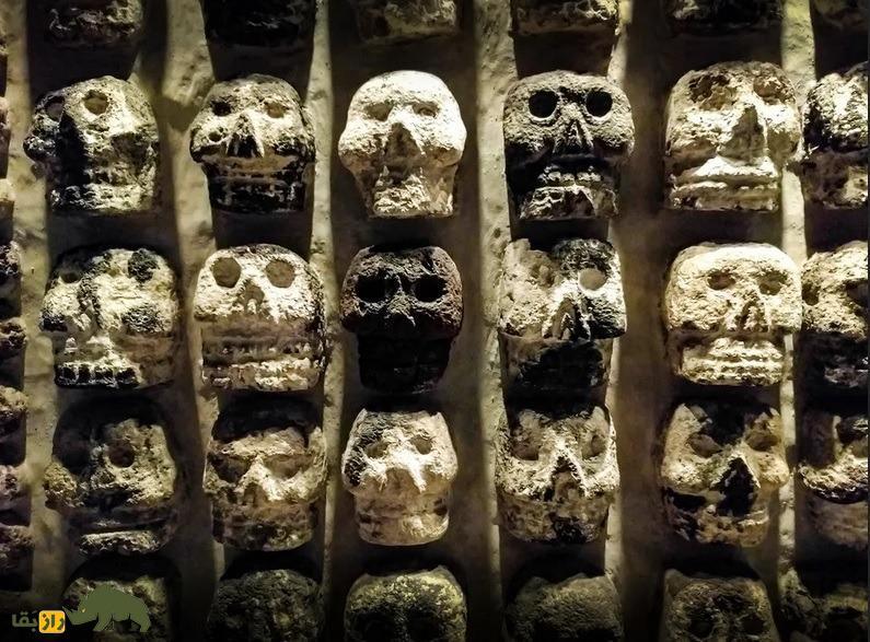 انسان‌هایی که خوراکشان گوشت انسان است!