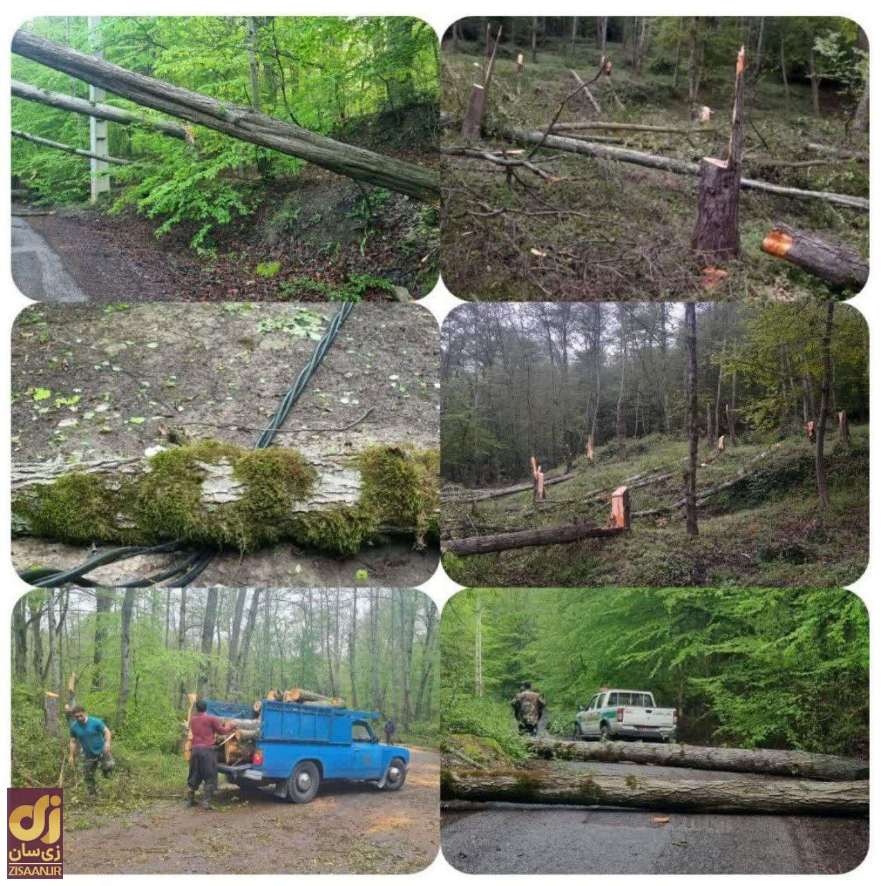 (ویدئو) ‌فاجعه عجیب در جاده جنگی بهشهر و گلوگاه