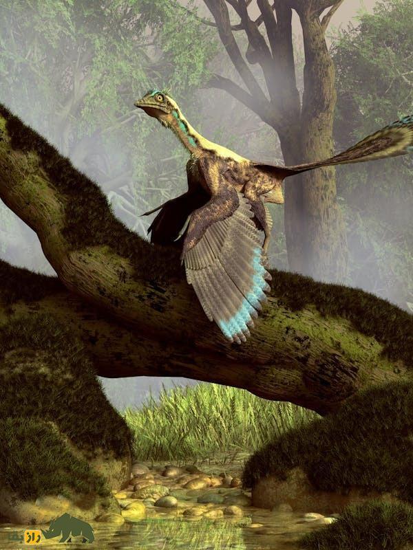 چرا انسان‌ها بال ندارند؛ اگر انسان بال داشت چه می‌شد؟