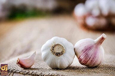 اسرار سیر برملا شد؛ آیا سیر واقعا برای سلامتی مفید است؟ | چه کسانی نباید سیر بخورند؟