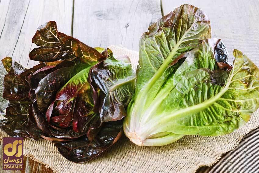 با خواص شگفت انگیز کاهو آشنا شوید! از تقویت اسپرم تا پیشگیری از سرطان