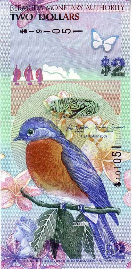 اعجاب اسکناس طلایی در کرانه خلیج فارس / عجیب‌ترین اسکناس‌های دنیا کدام هستند؟