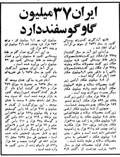 عکس عجیب واردات گوسفند از استرالیا در فرودگاه مهرآباد + عکس