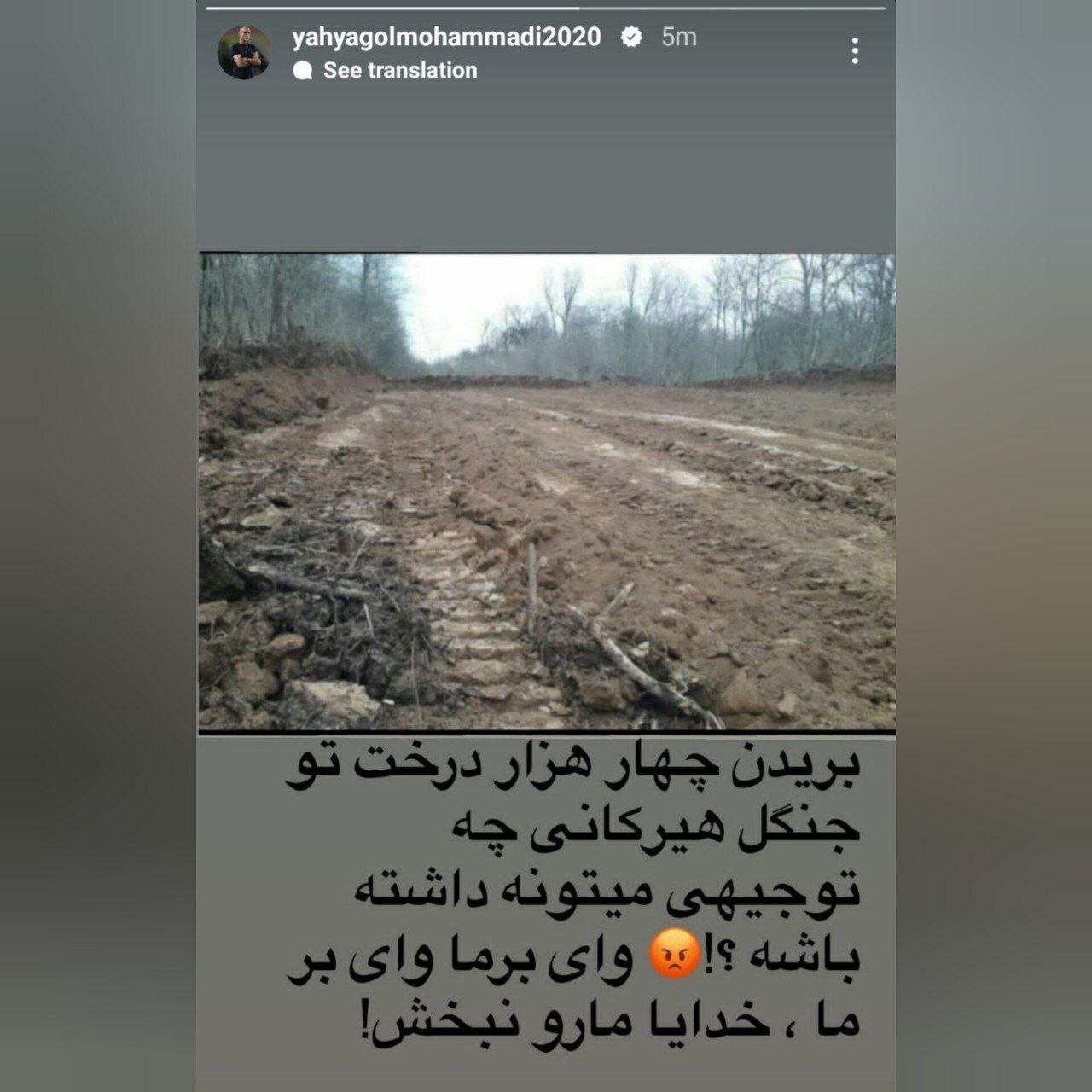 استوری یحیی گل‌محمدی درباره قطع درختان هیرکانی در نوشهر + عکس