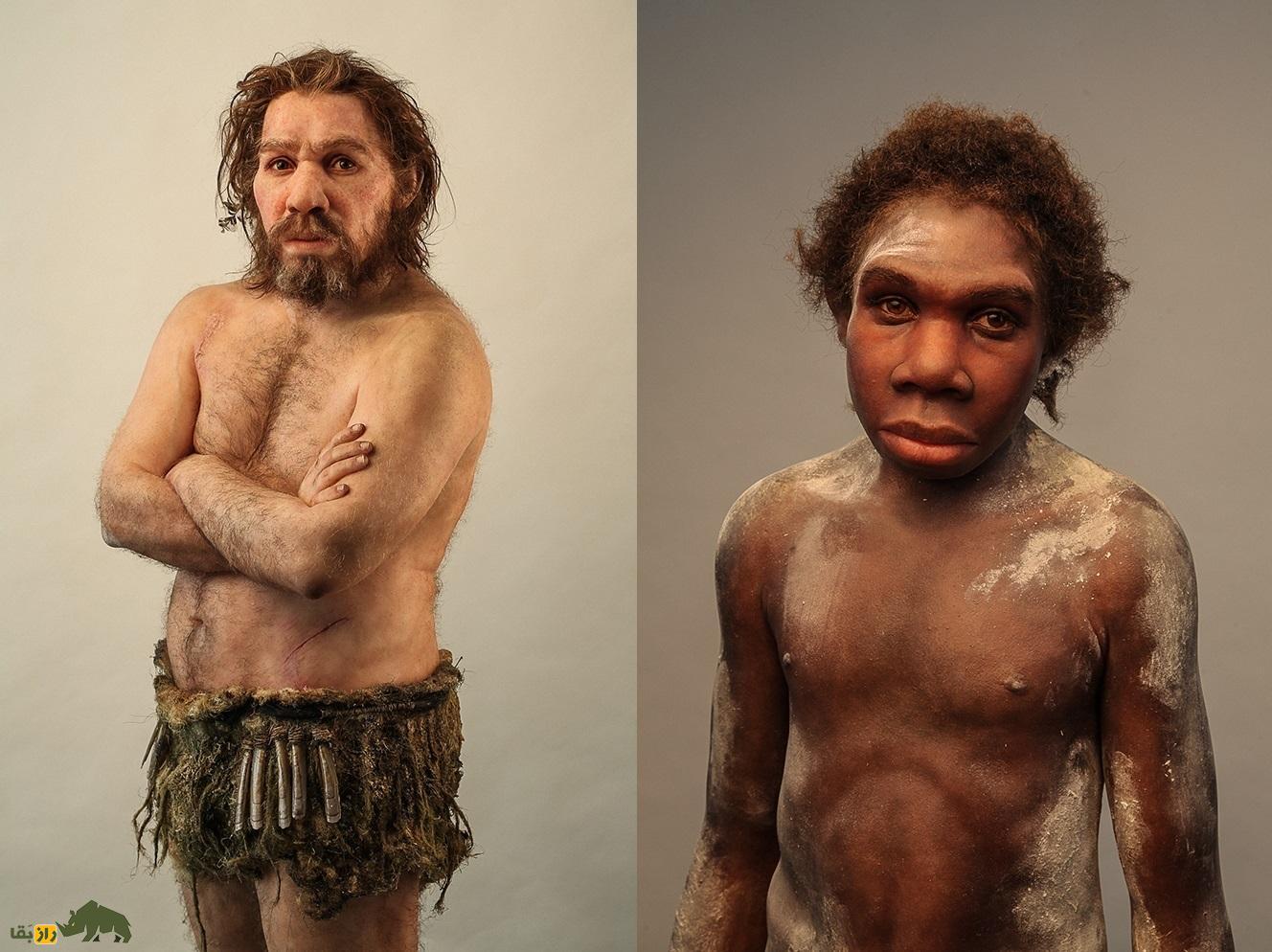 انسان‌های امروز چقدر شبیه نئاندرتال‌‌ها هستند؛ از دماغ بزرگ تا کشیدن سیگار!