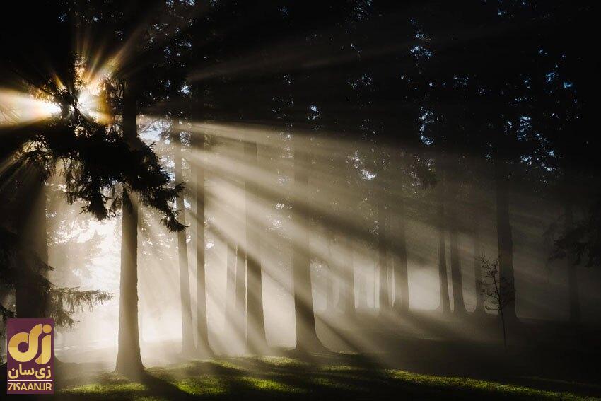 متولدین این ماه‌ها میل شدیدی به تاریکی دارند!