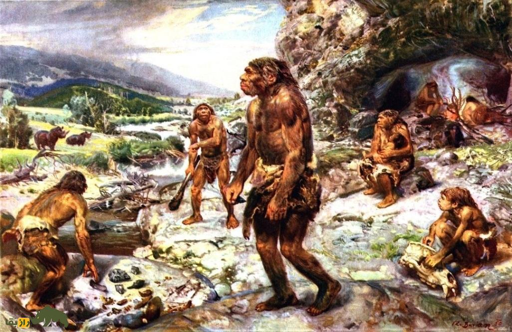 غذای نئاندرتالها چه بود؟ غذای نئاندرتالها چه بود؟