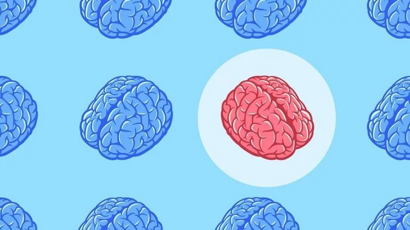 پژوهش جدید: خطر سکته مغزی و زوال عقل در افراد مبتلا به بیماری‌های قلبی بیشتر است