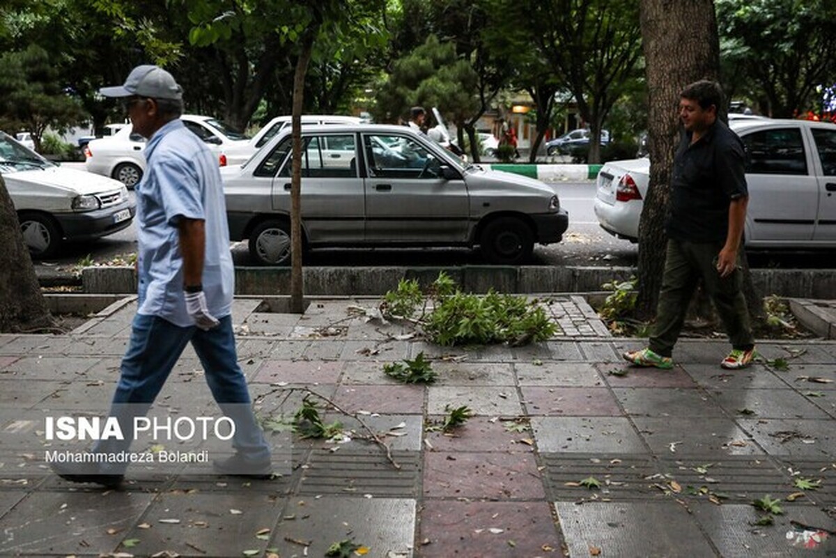 پیش بینی وزش باد شدید برای تهران