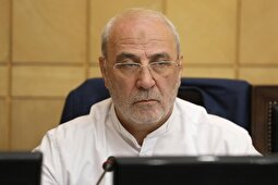 گاف بزرگ نماینده مجلس درباره استیضاح همتی سوژه کاربران شد