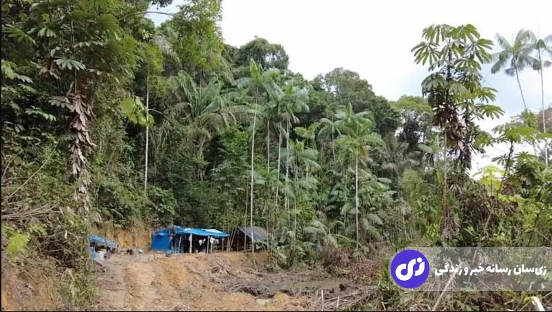 گزارشی تکاندهنده از سکس در برابر طلا! گزارشی تکاندهنده از سکس در برابر طلا!