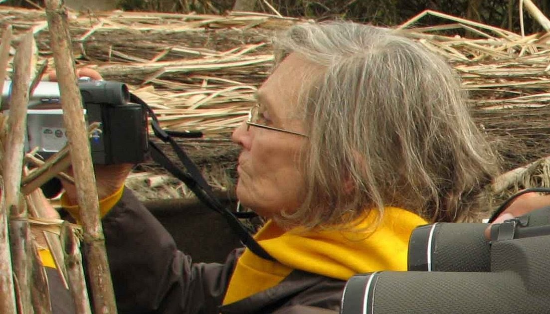 مادر درنا‌های سیبری؛ وداع با پنج دهه عشق به طبیعت