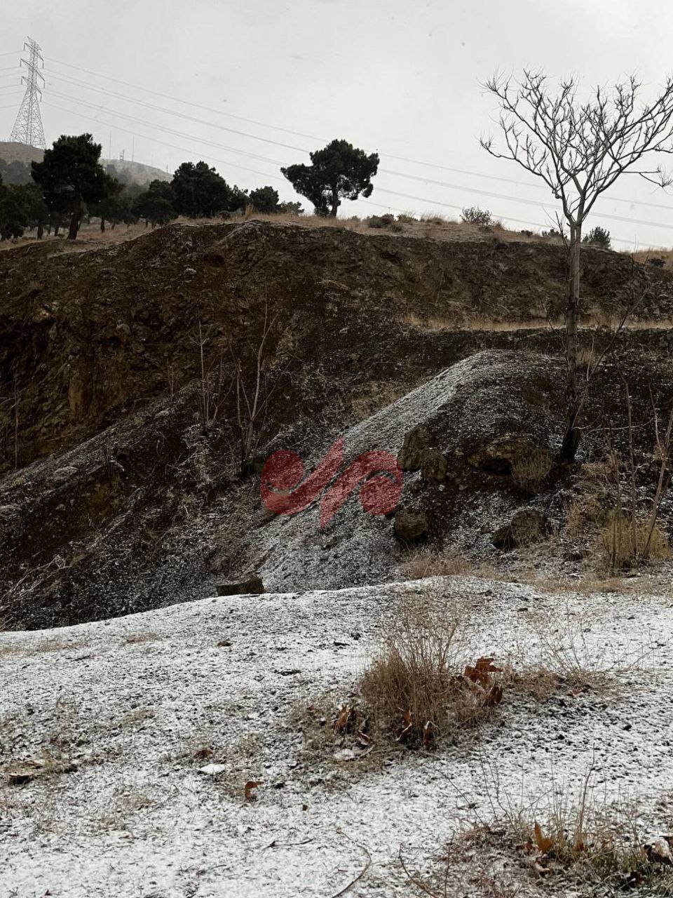 (تصاویر) بارش برف، تهران را سفیدپوش کرد