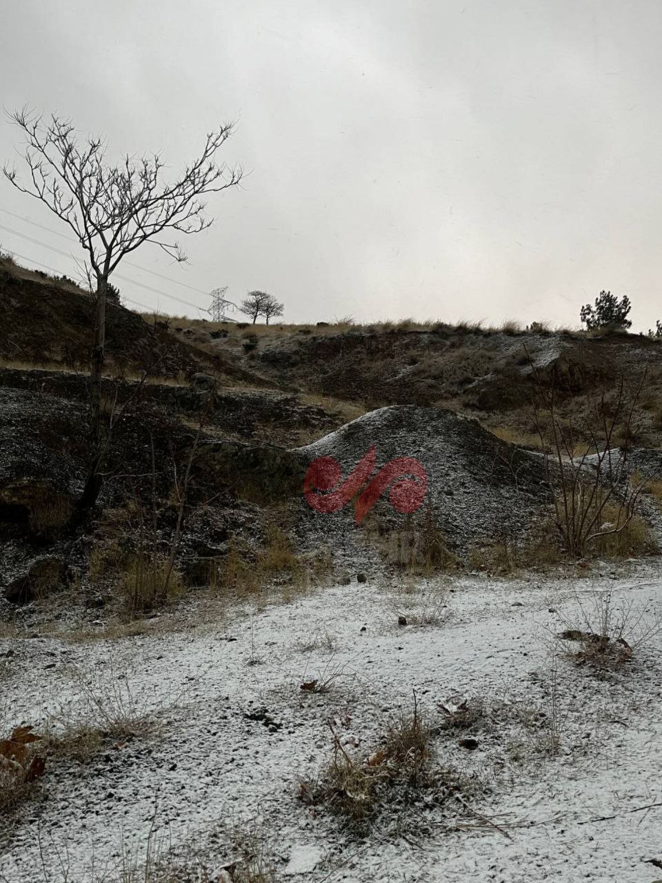 (تصاویر) بارش برف، تهران را سفیدپوش کرد