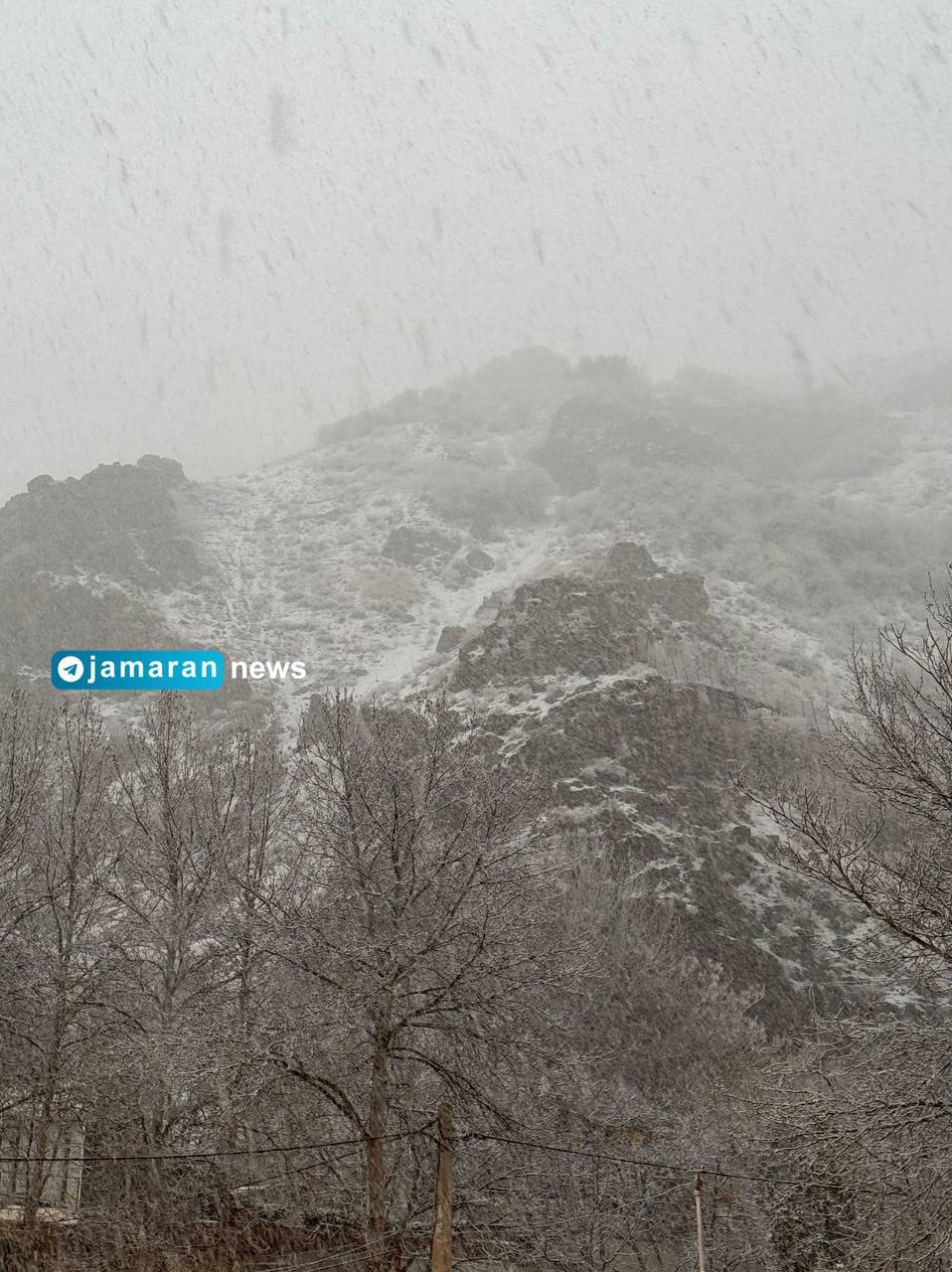 (تصاویر) بارش برف، تهران را سفیدپوش کرد