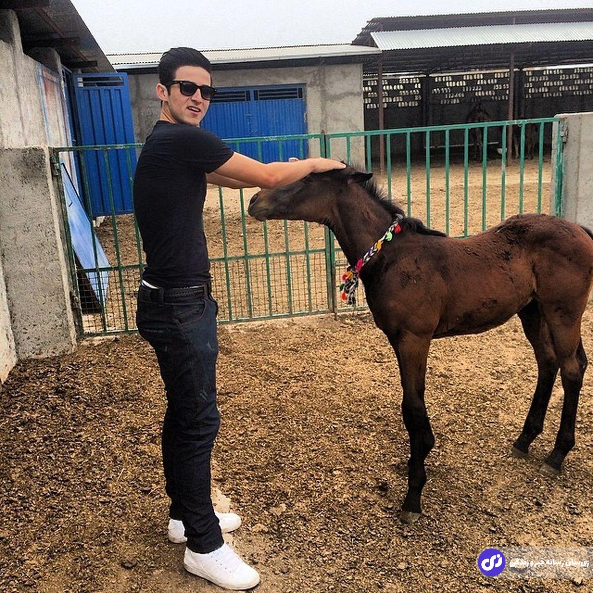 (تصاویر) سرگرمی عجیب و گرانقیمت ستاره فوتبال؛ سردار آزمون چند اسب دارد؟ (تصاویر) سرگرمی عجیب و گرانقیمت ستاره فوتبال؛ سردار آزمون چند اسب دارد؟
