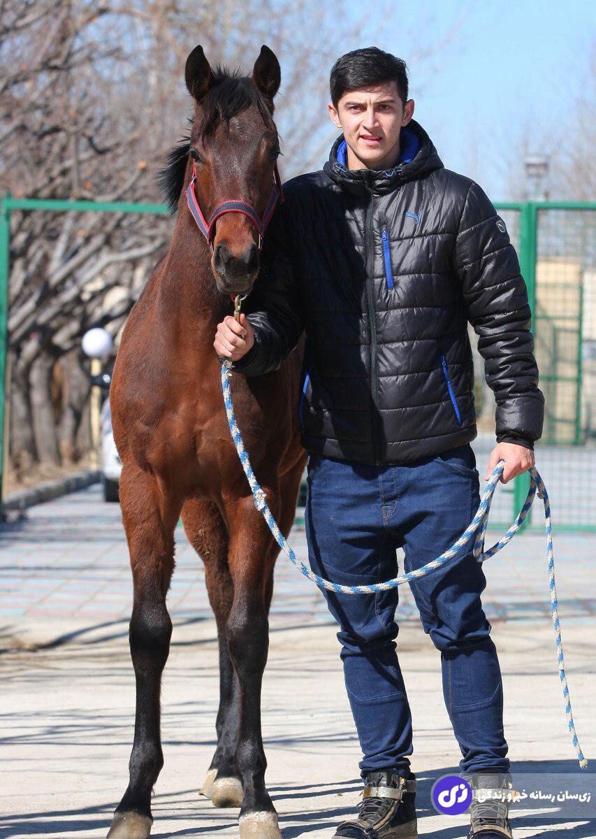 (تصاویر) سرگرمی عجیب و گرانقیمت ستاره فوتبال؛ سردار آزمون چند اسب دارد؟ (تصاویر) سرگرمی عجیب و گرانقیمت ستاره فوتبال؛ سردار آزمون چند اسب دارد؟