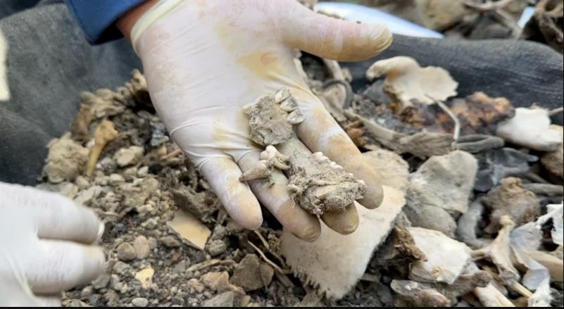 پیدا شدن استخوان های انسان در غزه