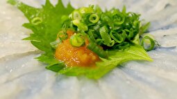 مرگبارترین غذا‌های دنیا چیست؟