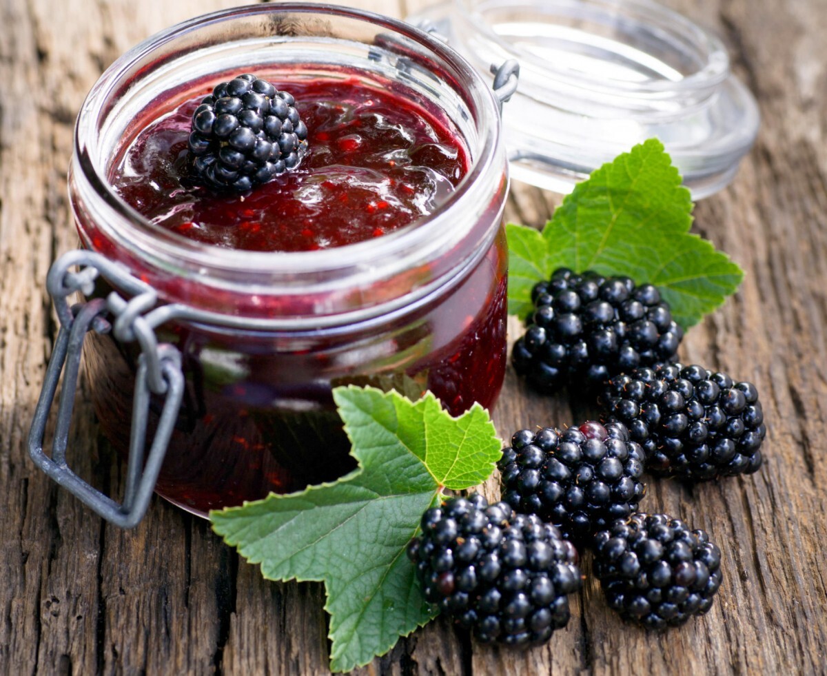 خواص توت سیاه // راستان توت سیاه