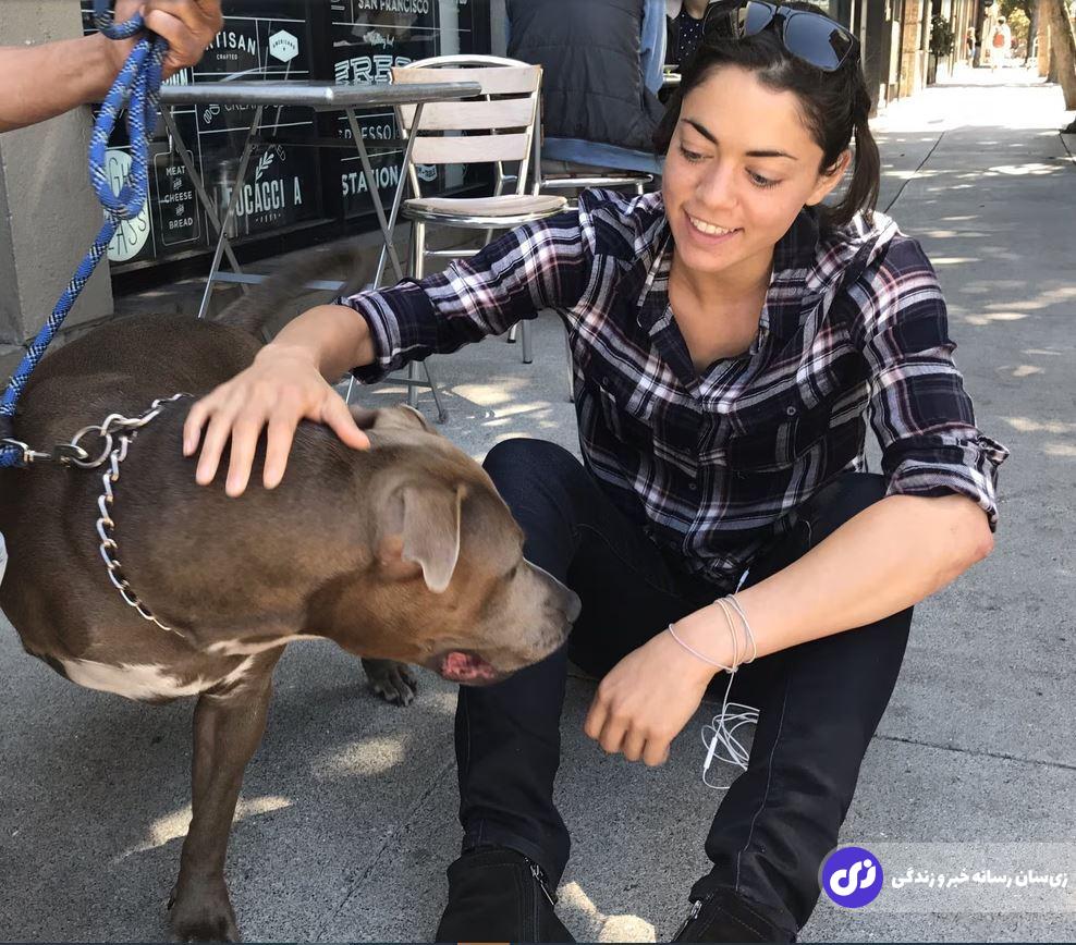 تصاویر | «شیوان زیلیس» شریک زندگی ایلان ماسک کیست؛ دختری هندی تبار که عاشق ثروتمندترین مرد جهان شد «شیوان زیلیس» شریک زندگی ایلان ماسک در کنار یک سگ