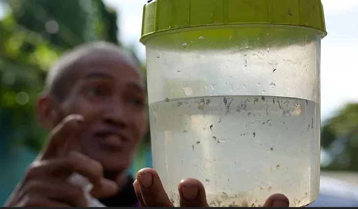 این روستا برای شکار هر پشه متهم جایزه می‌دهد