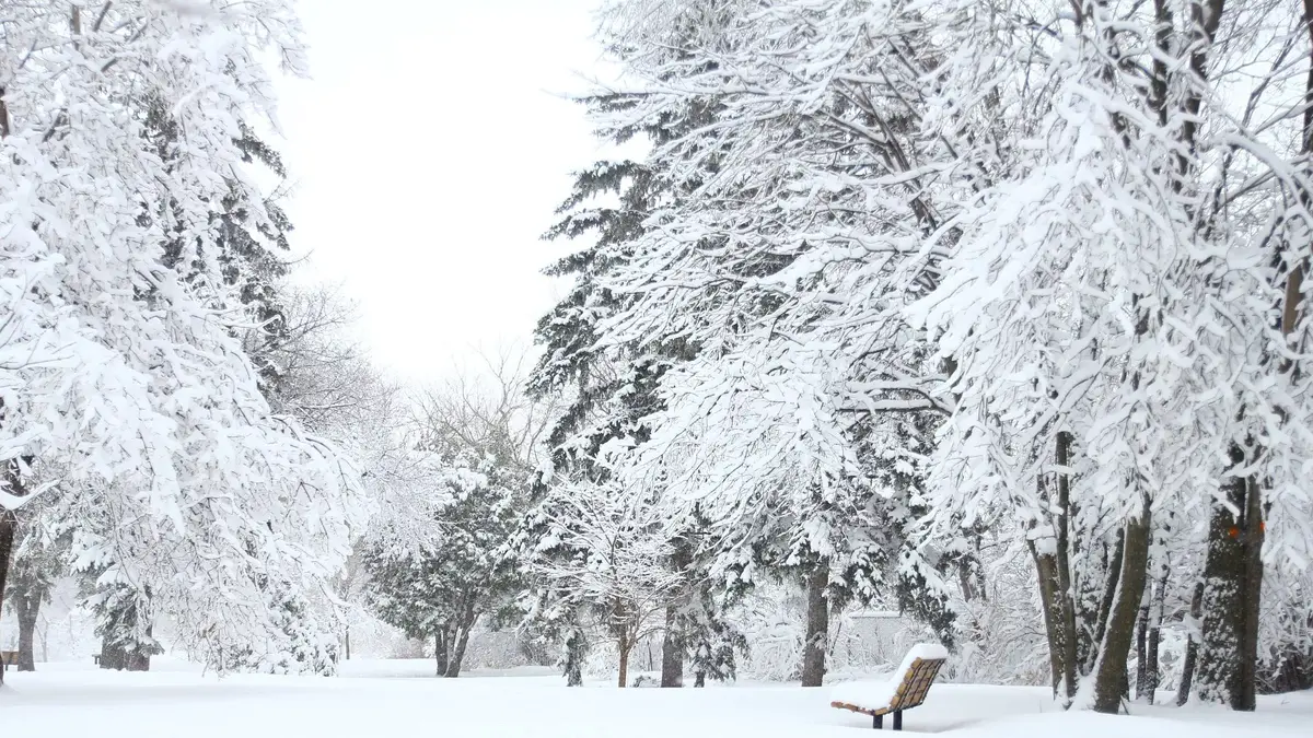 کشور‌هایی که هرگز برف به خود نمی‌بینند!