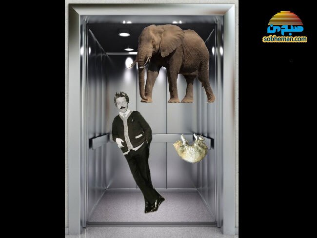 استفاده از آسانسور یا راه‌پله؛ کدام یک بهتر است؟