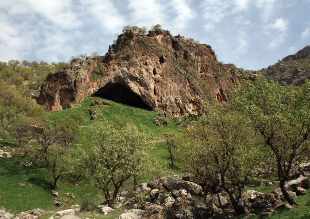 دانشمندان چهره یک نئاندرتال ۷۵ هزار ساله را بازسازی کردند دانشمندان چهره یک نئاندرتال ۷۵ هزار ساله را بازسازی کردند
