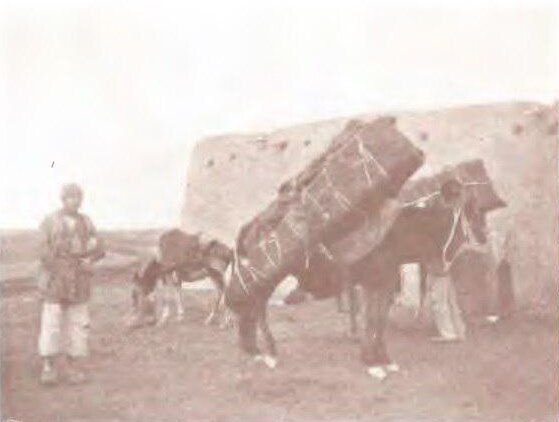 تصویری نایاب از شیوه حمل جنازه در دوره قاجار + عکس