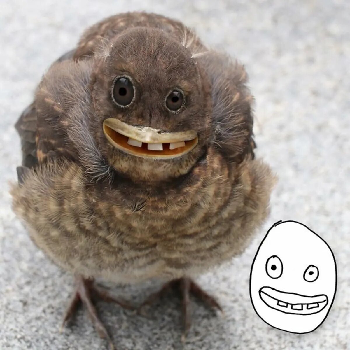 اگر نقاشی کودکان واقعیت داشتند