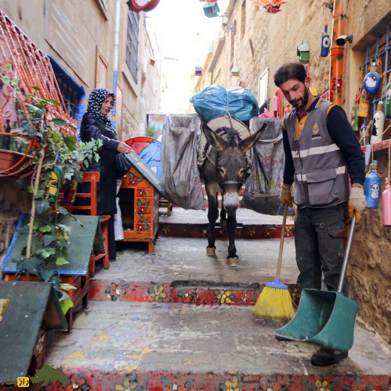 خرها چگونه مسیر تاریخ را تغییر دادند؟