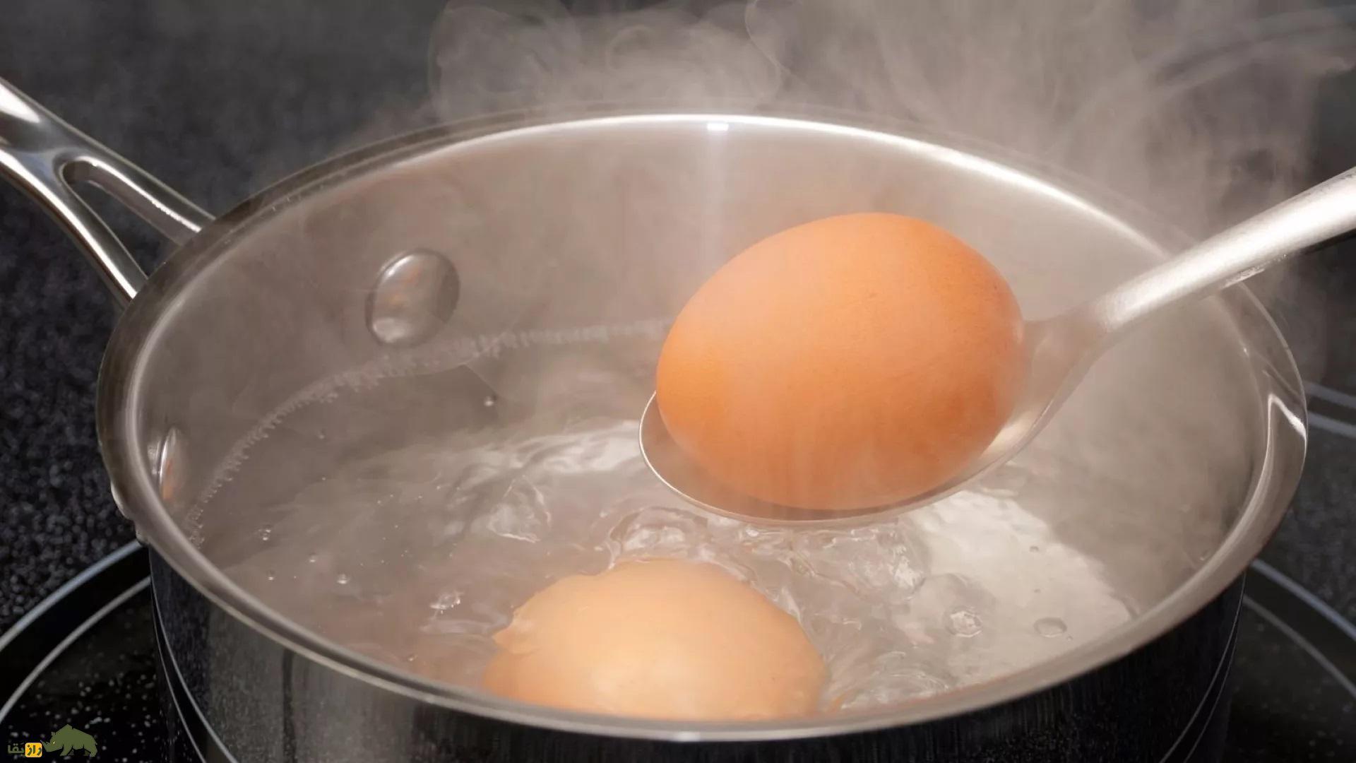 چرا هرگز نمی‌توان بالای کوه اورست تخم مرغ آب‌پز کرد؟