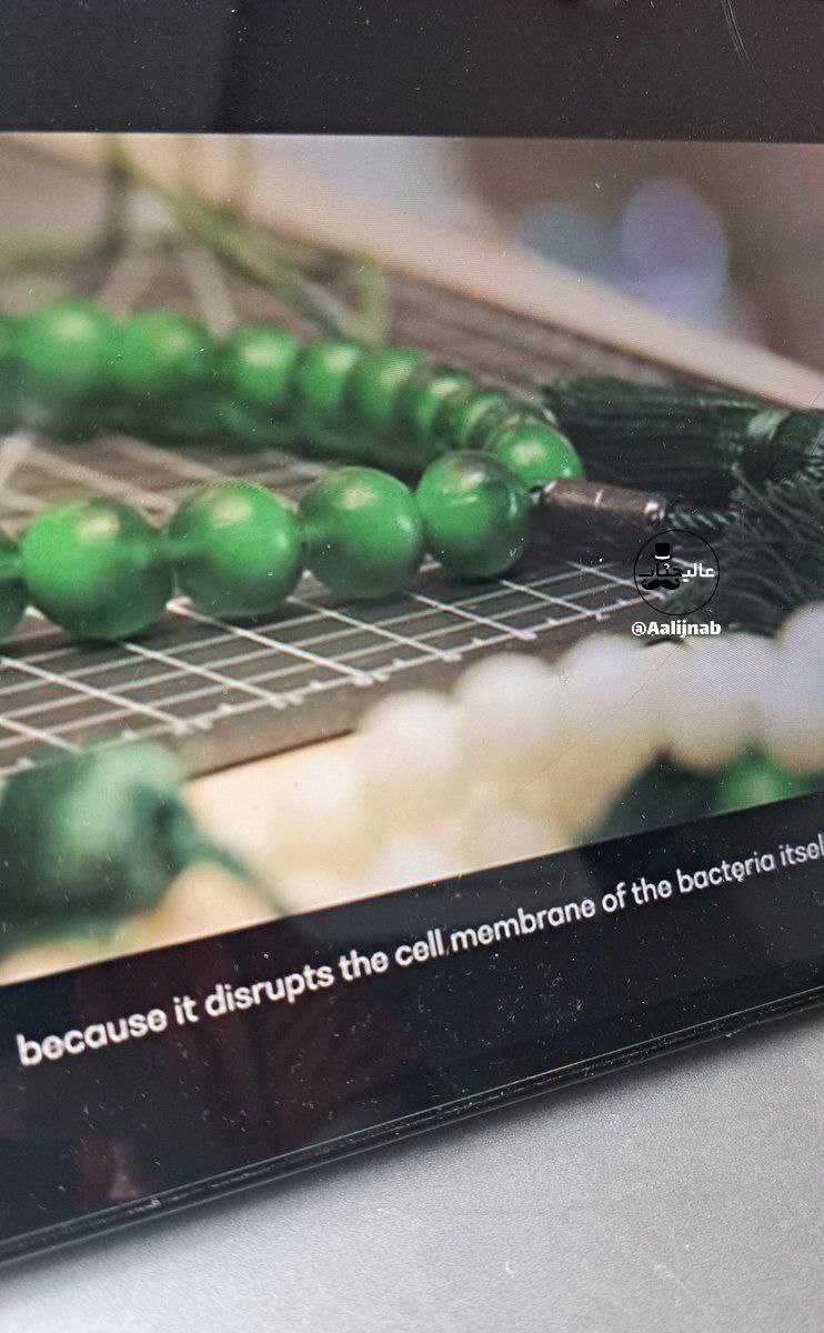 (عکس) هدیه متفاوت عربستان به زائران حج امسال