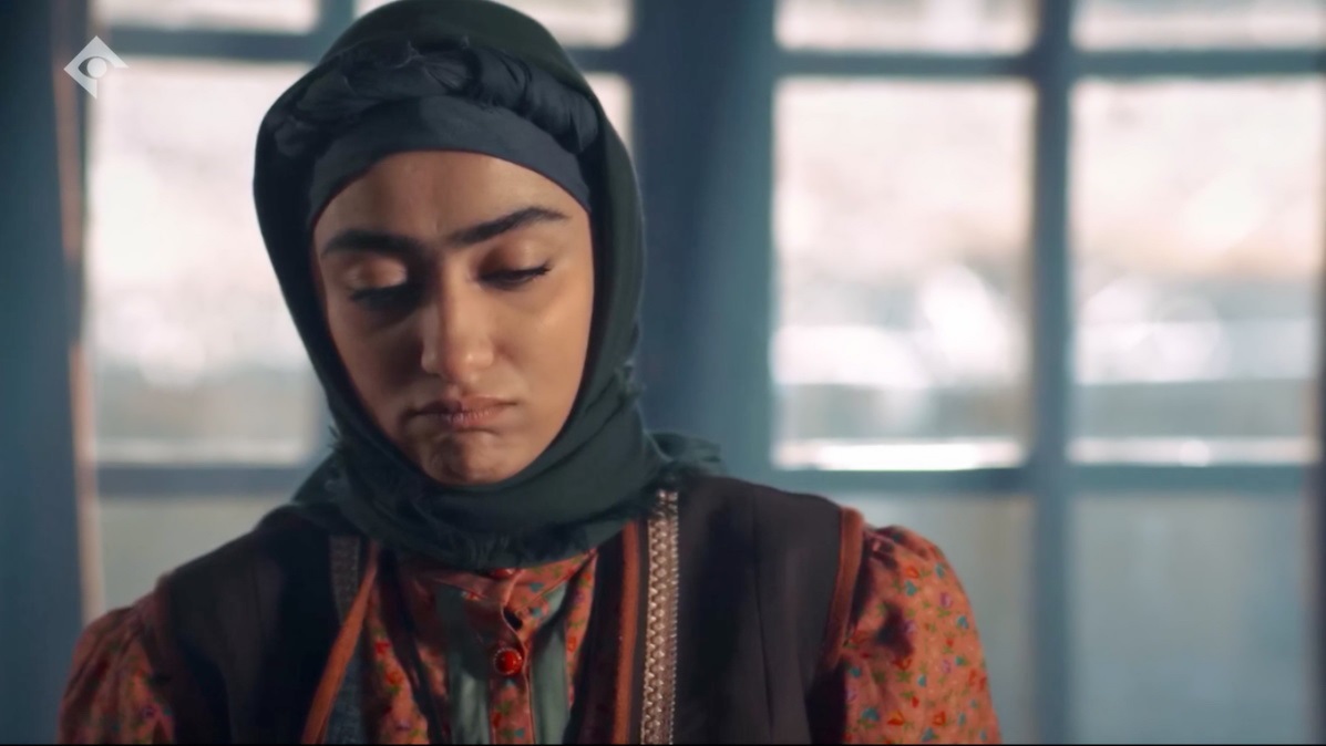 بیوگرافی بازیگر نقش فیروزه در سریال گیل دخت