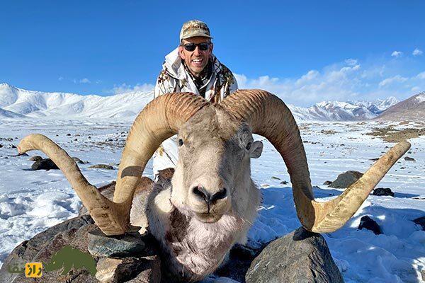 «گوسفند مارکوپولو»؛ گوسفند وحشی افغانستانی که آمریکایی‌ها برای کشتنش ۴۰ هزار دلار خرج می‌کنند!
