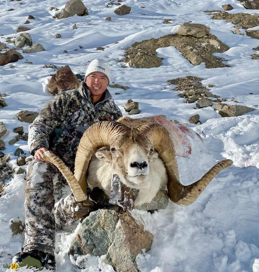 «گوسفند مارکوپولو»؛ گوسفند وحشی افغانستانی که آمریکایی‌ها برای کشتنش ۴۰ هزار دلار خرج می‌کنند!