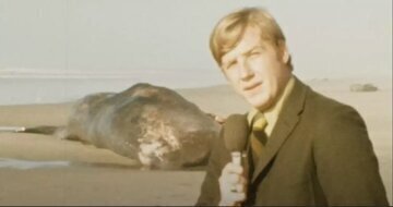 روزی که از آسمان نهنگ می‌بارید!