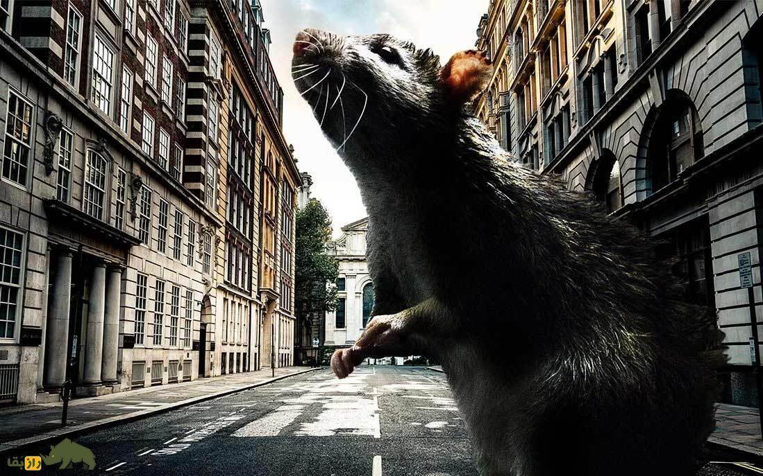 کدام موجود در کره زمین می‌تواند از یک جنگ هسته‌ای تمام‌عیار جان سالم به در ببرد؟ موش یا عقرب؟