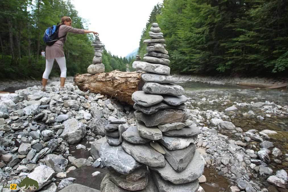 شرکت شامپانزه‌ها در یک مراسم عجیب؛ آیا آنها یک مکان مقدس دارند؟