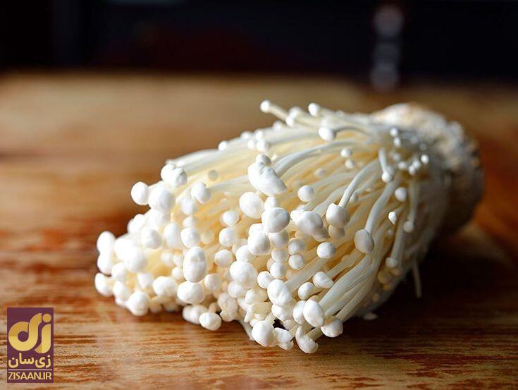 خواص قارچ برای سلامتی خواص قارچ برای سلامتی