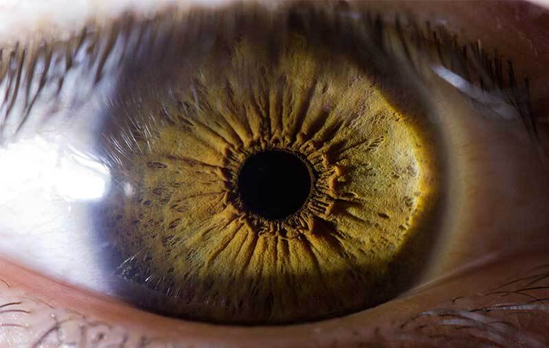 دعا برای زیاد شدن نور چشم [دستورالعمل برای زیاد شدن نور چشم]