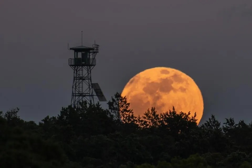 تصاویری زیبا و خیره‌کننده از «ماه صورتی» در سراسر جهان + تصاویر