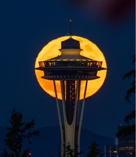 تصاویری زیبا و خیره‌کننده از «ماه صورتی» در سراسر جهان + تصاویر