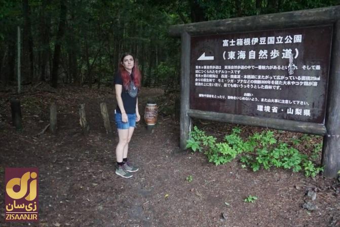 (تصاویر) ترسناک‌ترین جاذبه‌های گردشگری جهان؛ از قلعه اجنه تا جنگل خودکشی!